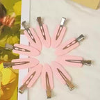 10 pcs hair clips